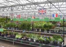 Half of the fair traditionally consists of a 'layers fair', tables presenting the assortment of all growers affiliated with Groen Direkt